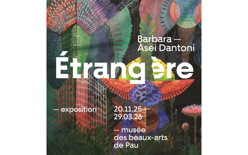 Visite flash - Exposition: Barbara Asei Dantoni - Étrangère