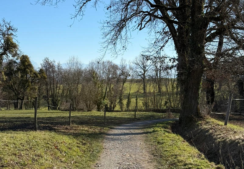 Maison de village - 189 m² - 7 pièces