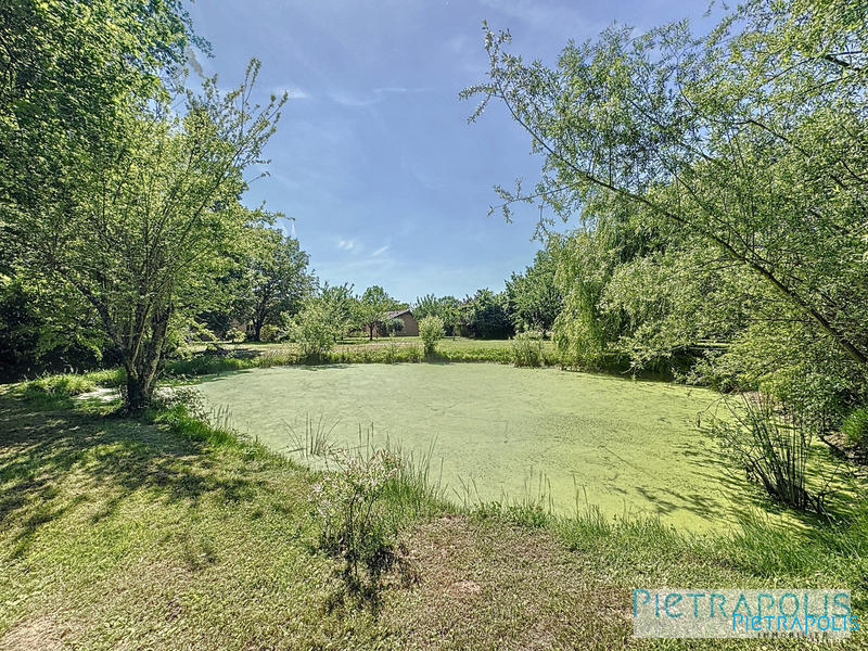 Maison - 320 m² - 7 pièces