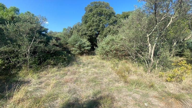 Terrain constructible - 984 m²