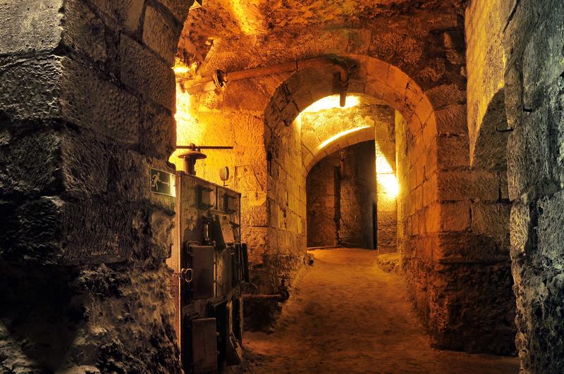 Visite guidée dans les coulisses de l'histoire au Château royal d'Amboise