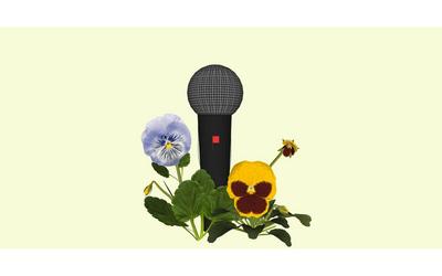 Exposition au Bel Ordinaire: la Barrière de la langue