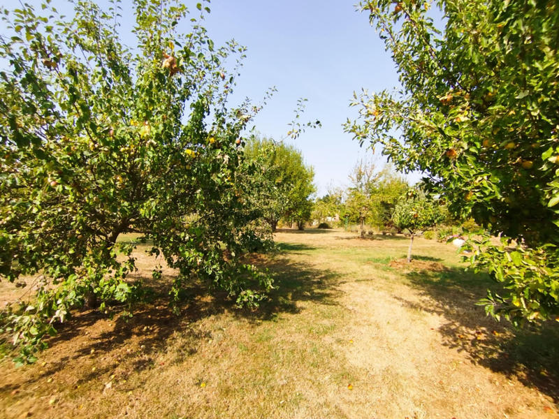 Maison - 166 m² - 5 pièces