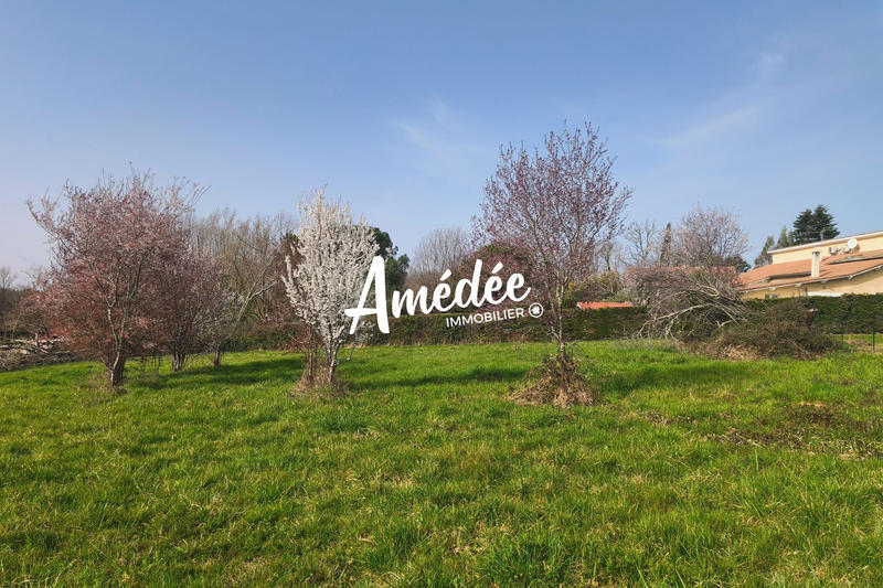 Terrain - 11 647 m²