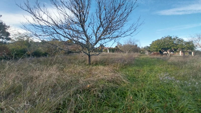 Maison de village - 156 m² - 7 pièces