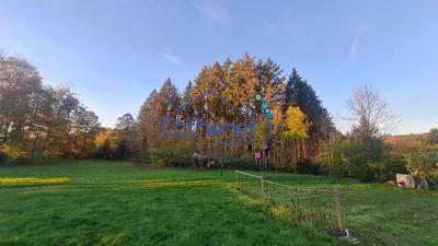 Maison - 241 m² - 5 pièces