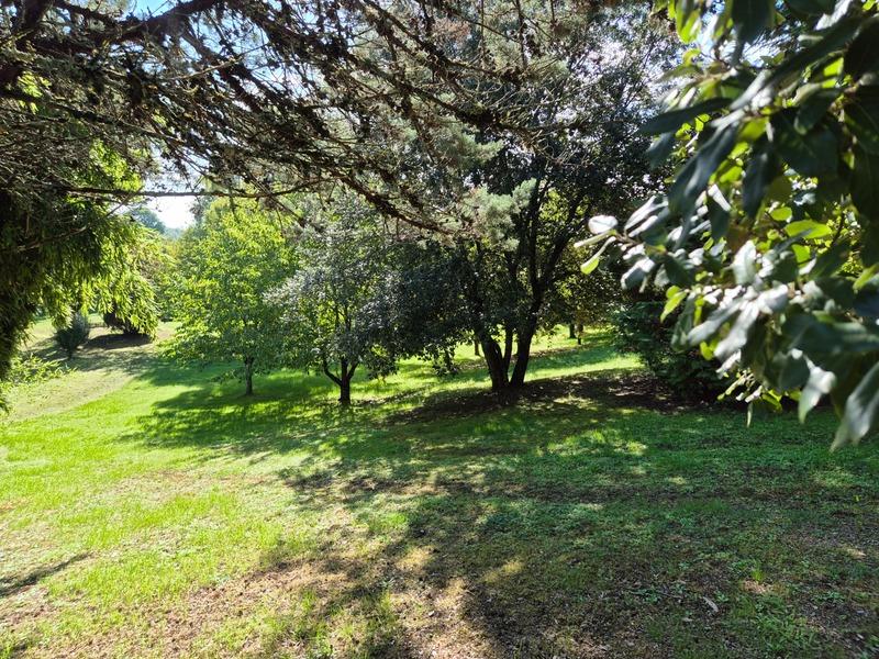 Terrain constructible - 3 000 m²
