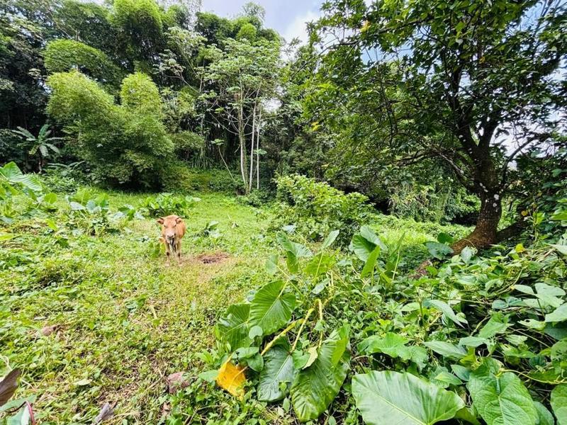 Villa - 124 m² - 4 pièces