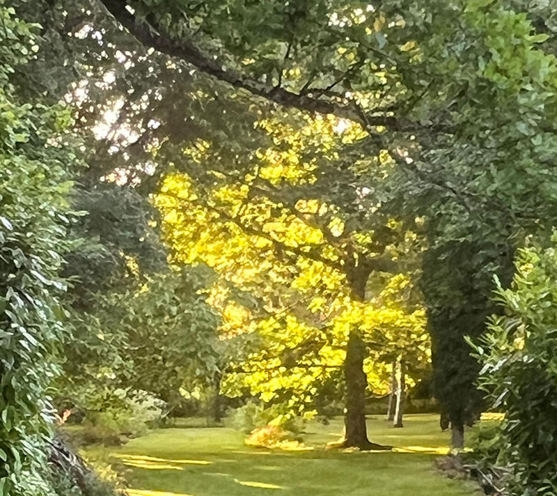 Maison - 350 m² - 4 pièces