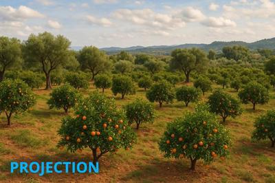 Divers - 10 000 m² - 4 pièces