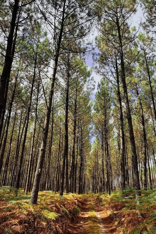 Maison - 232 m² - 7 pièces