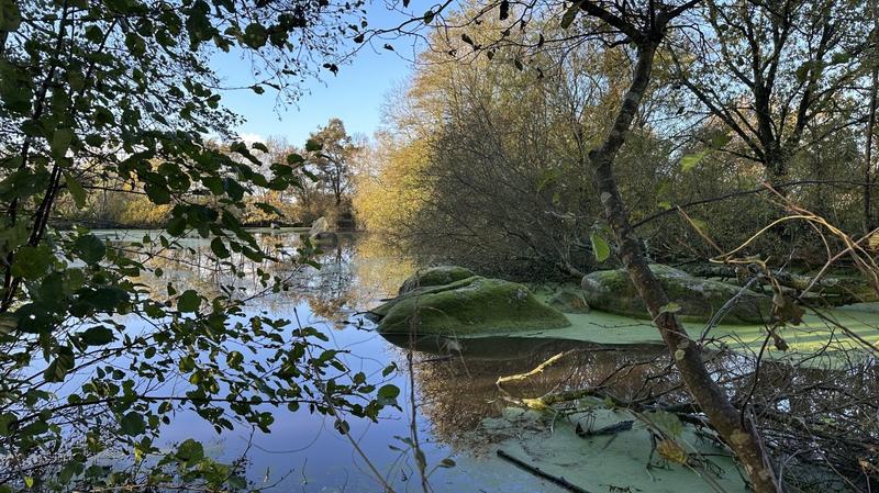 Terrain de loisirs - 8 220 m²