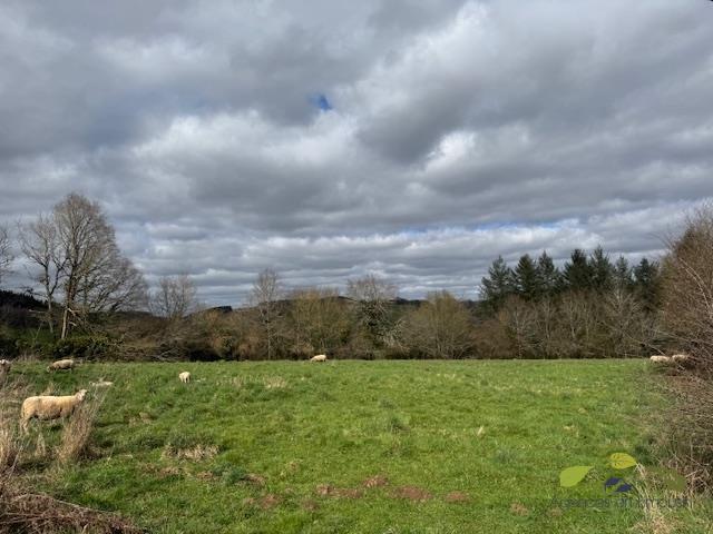 Maison de campagne - 74 m² - 4 pièces