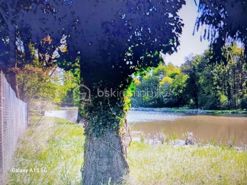 Terrain de loisirs - 45 089 m²