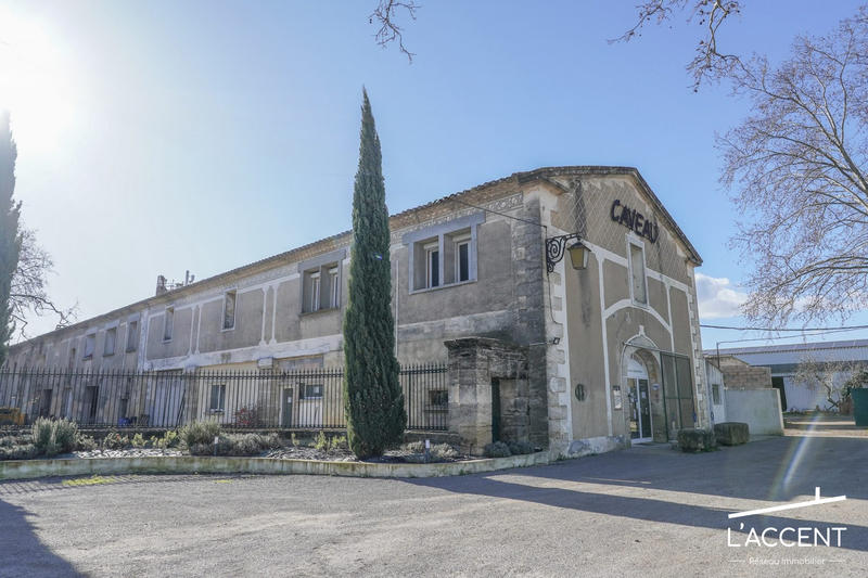 Château - 3 038 m² - 55 pièces