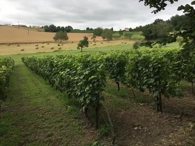 Propriété - 142 m² - 6 pièces