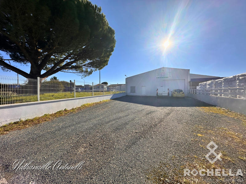 Local d'activités - 393 m²