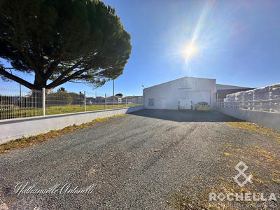 Local d'activités - 393 m²