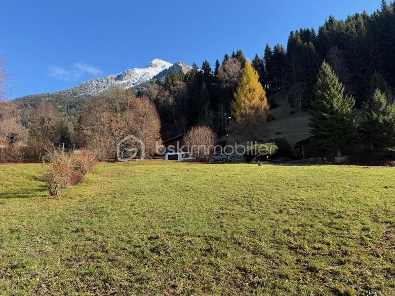 Terrain - 710 m²