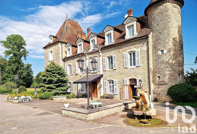 Château - 677 m² - 21 pièces