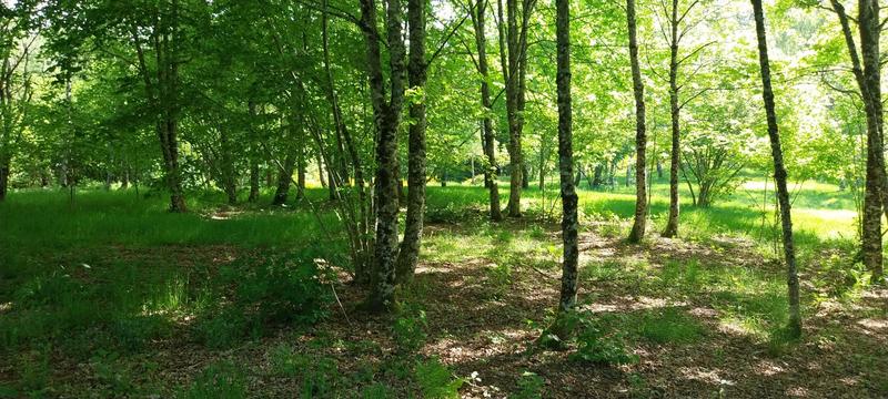Maison de campagne - 65 m² - 4 pièces
