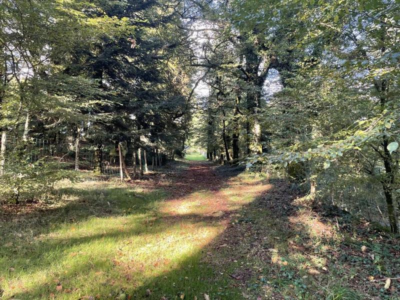 Maison - 400 m² - 50 pièces