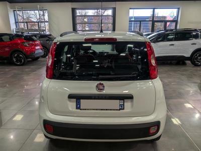 Fiat Panda 1.2 8v 69 ch Easy