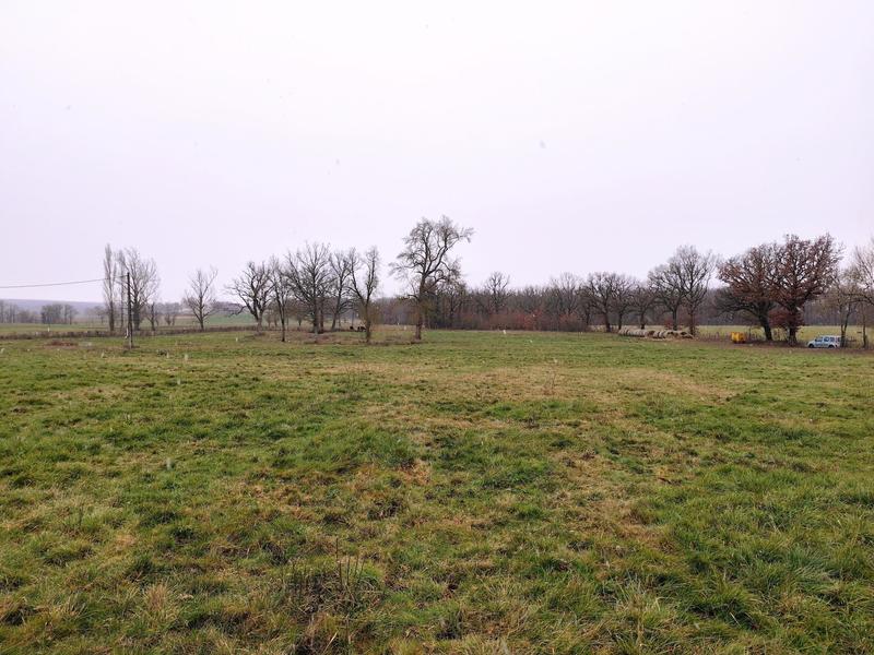 Terrain agricole - 36 700 m²