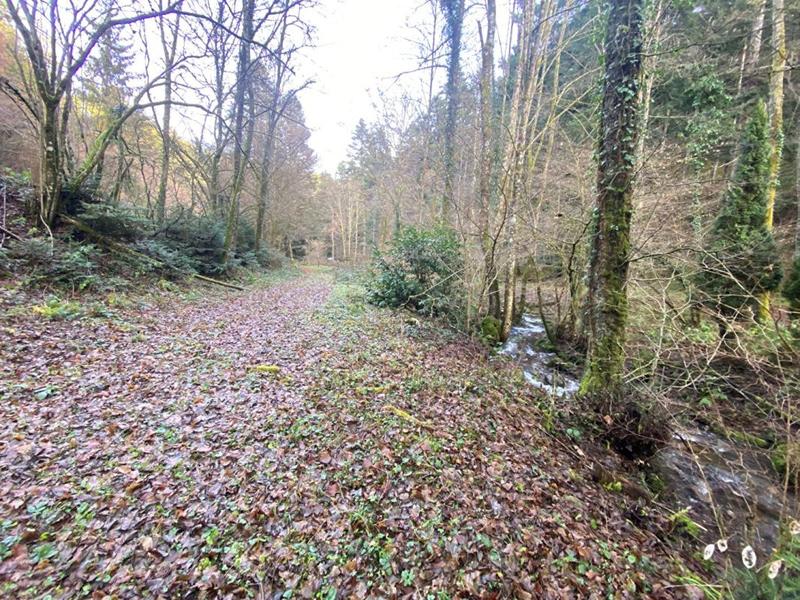 Terrain constructible - 3 197 m²