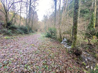 Terrain constructible - 3 197 m²