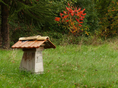 Stage abeilles