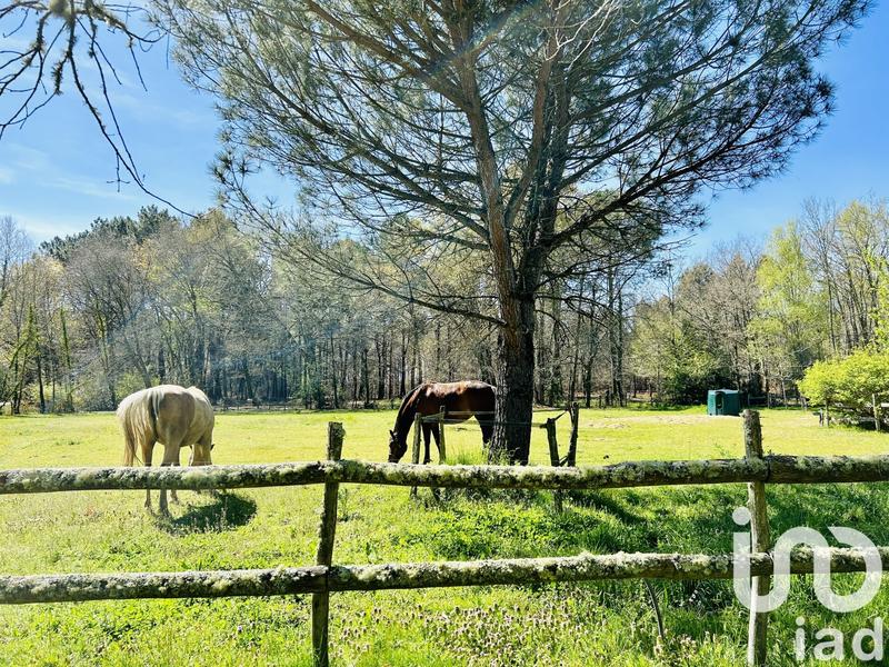 Maison - 205 m² - 6 pièces