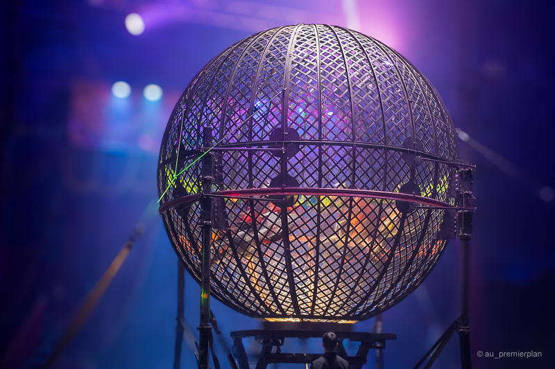 Grand cirque Nicolas Zavatta Douchet