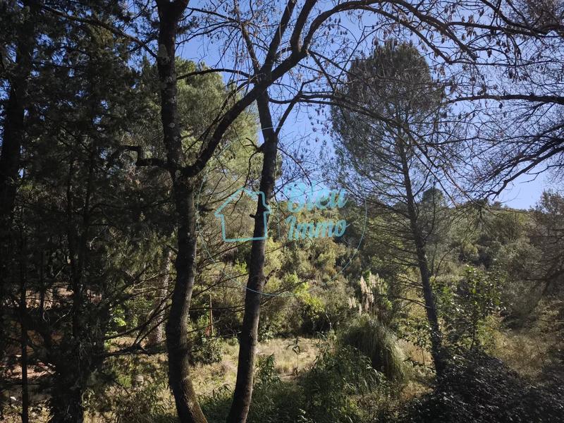 Terrain constructible - 2 489 m²