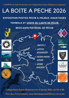 Vide grenier - la boîte à pêche