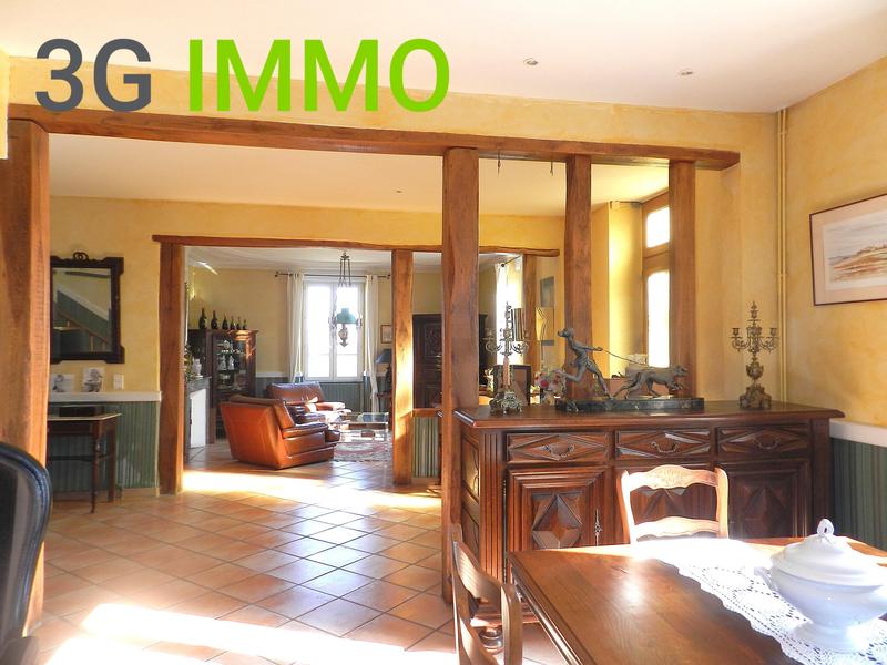 Maison de maîtres - 217 m² - 10 pièces