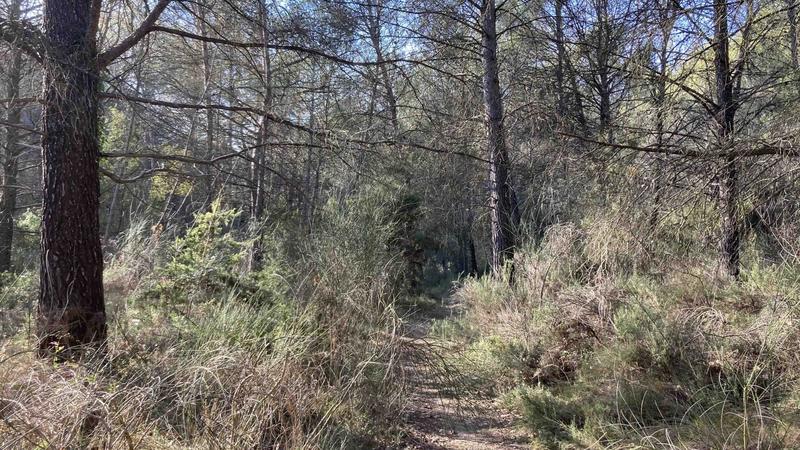 Terrain de loisirs - 25 775 m²