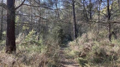 Terrain de loisirs - 25 775 m²