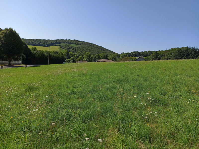 Terrain - 1 316 m²