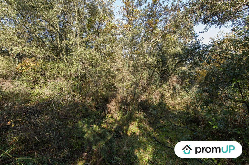 Terrain agricole - 9 625 m²