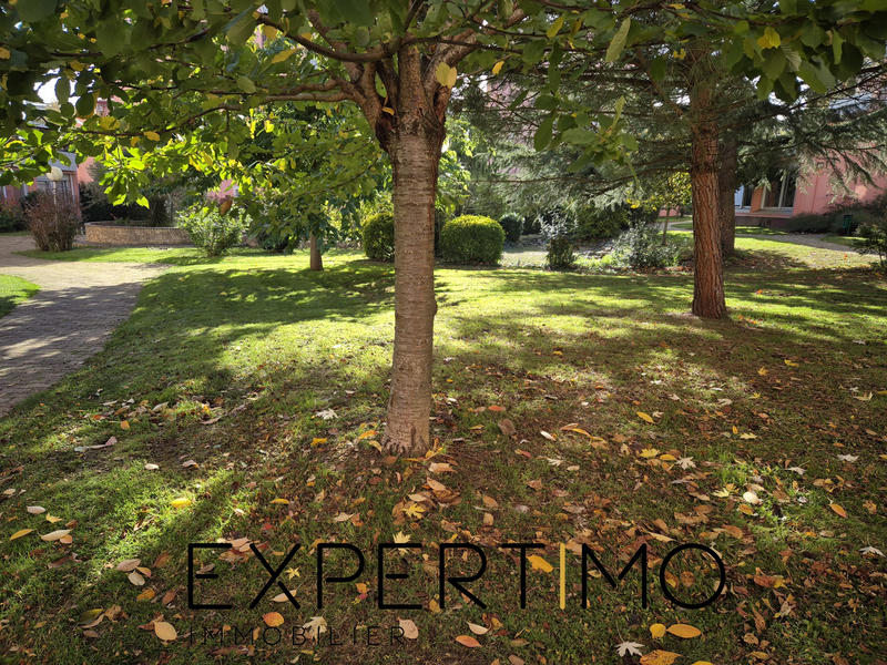 Appartement - 55 m² - 2 pièces