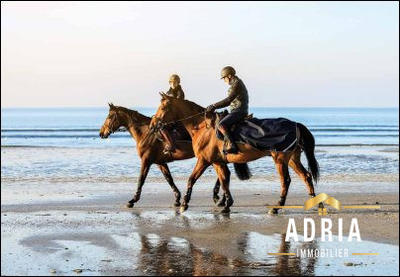 Appartement - 50 m² - 3 pièces