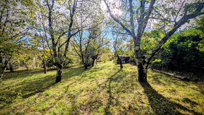 Maison - 61 m² - 3 pièces