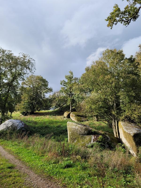 Maison - 150 m² - 8 pièces