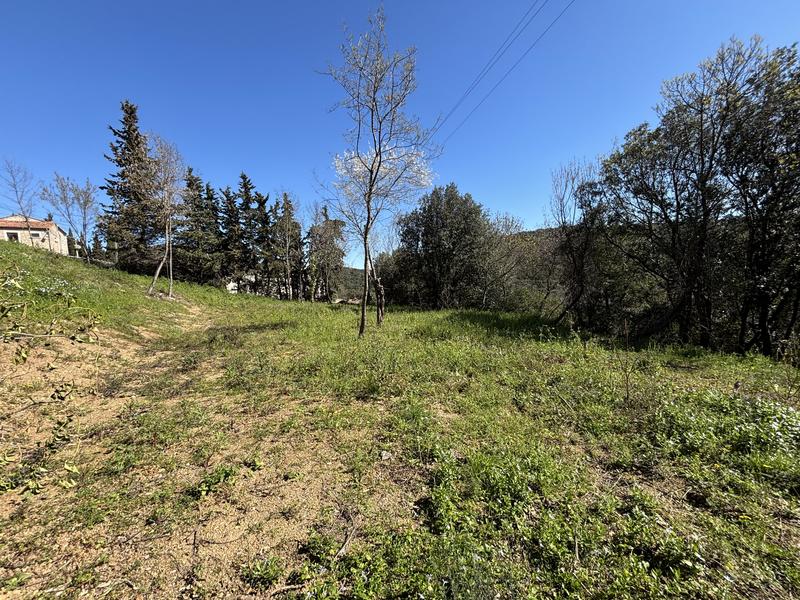 Terrain constructible - 1 330 m²