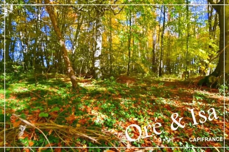 Terrain - 49 655 m²