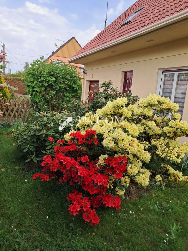 Pavillon - 122 m² - 6 pièces