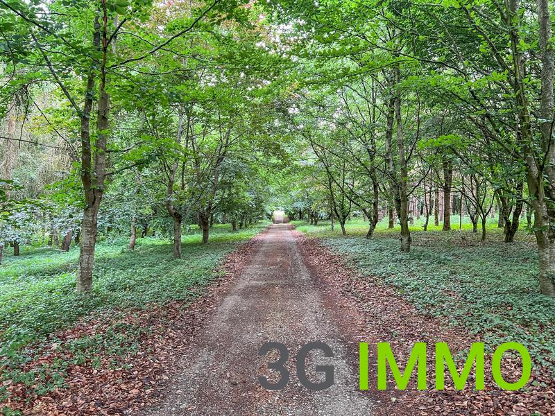 Maison ancienne - 322 m² - 10 pièces