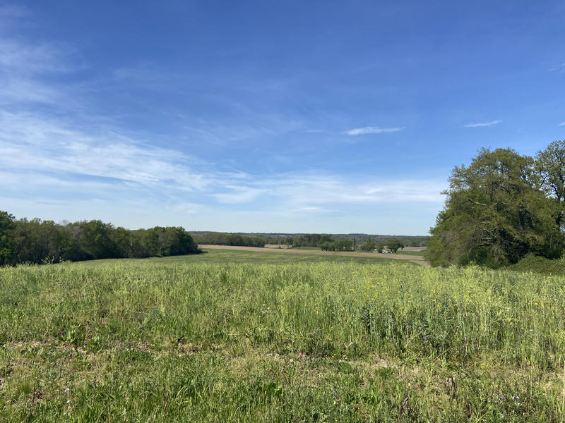 Propriété - 260 m² - 11 pièces