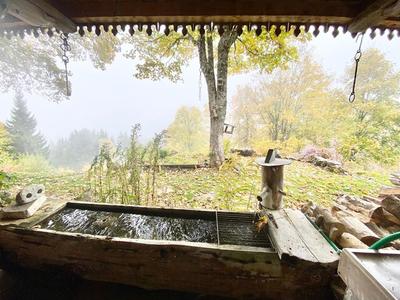 Châlet - 376 m² - 12 pièces